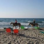 Horse riding tours