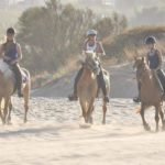 Horse riding tours