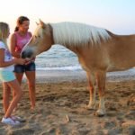 Horse riding tours