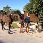 Horse riding tours