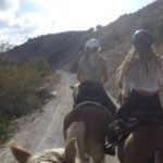 Horse riding tours