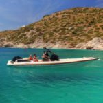 Rib trips Sea safari