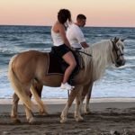Horse riding tours