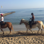 Horse riding tours