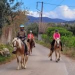 Horse riding tours
