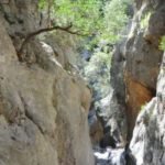 Ancient Cretan hiking tour