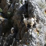 Ancient Cretan hiking tour