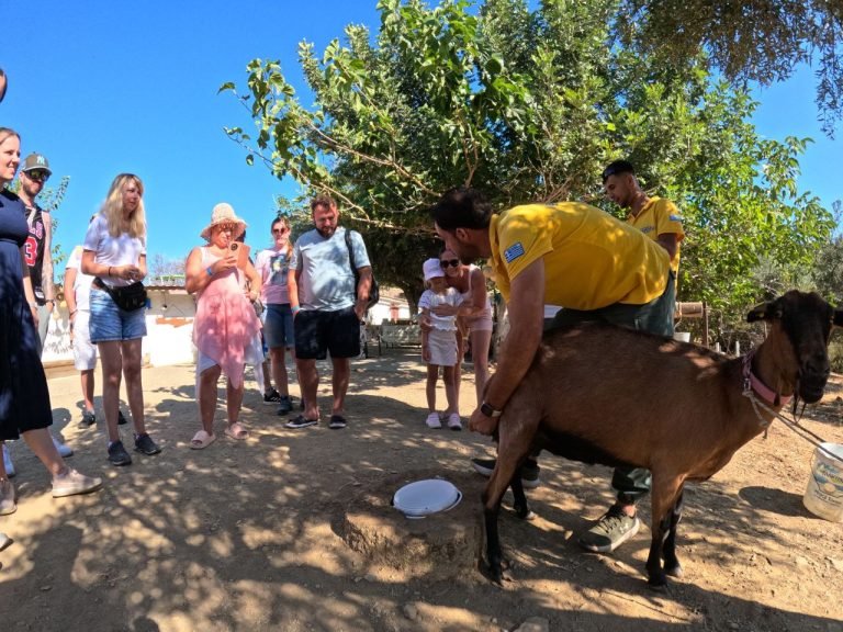 Cretan life – Cooking lessons