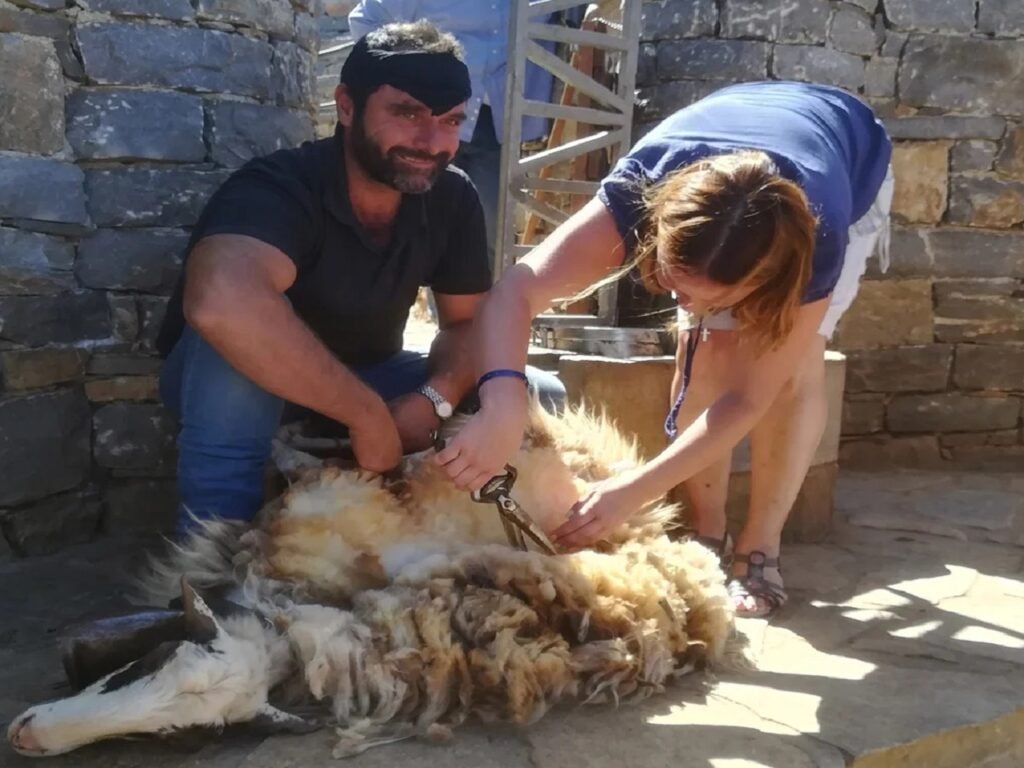 Shepherd’s Life 10
