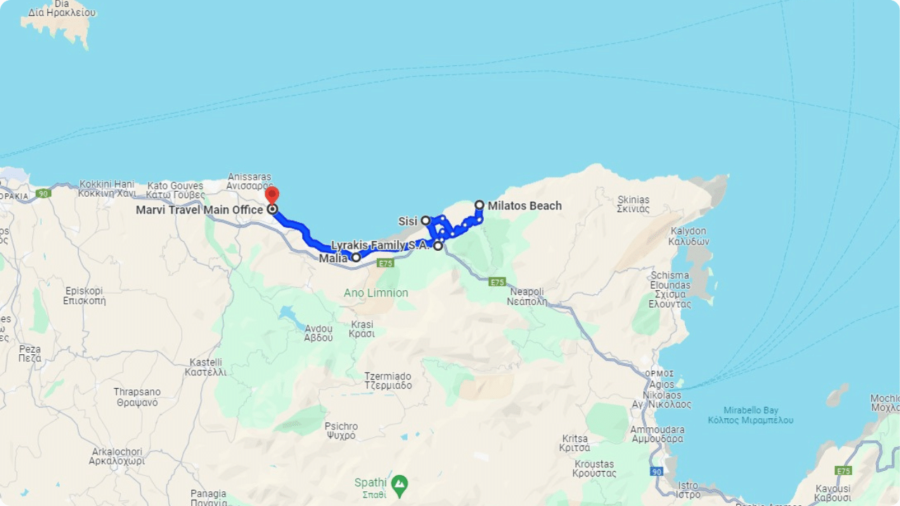 Evening Quad Safari with Safari experts