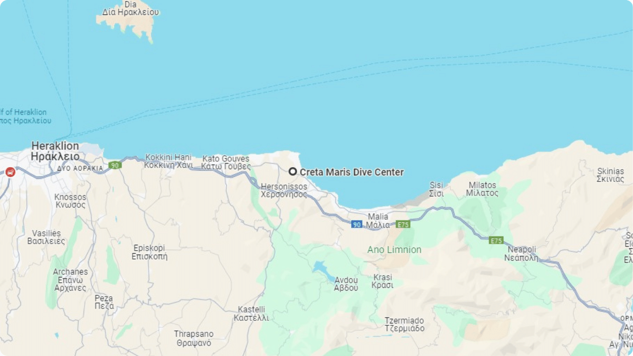 Introductory diving course